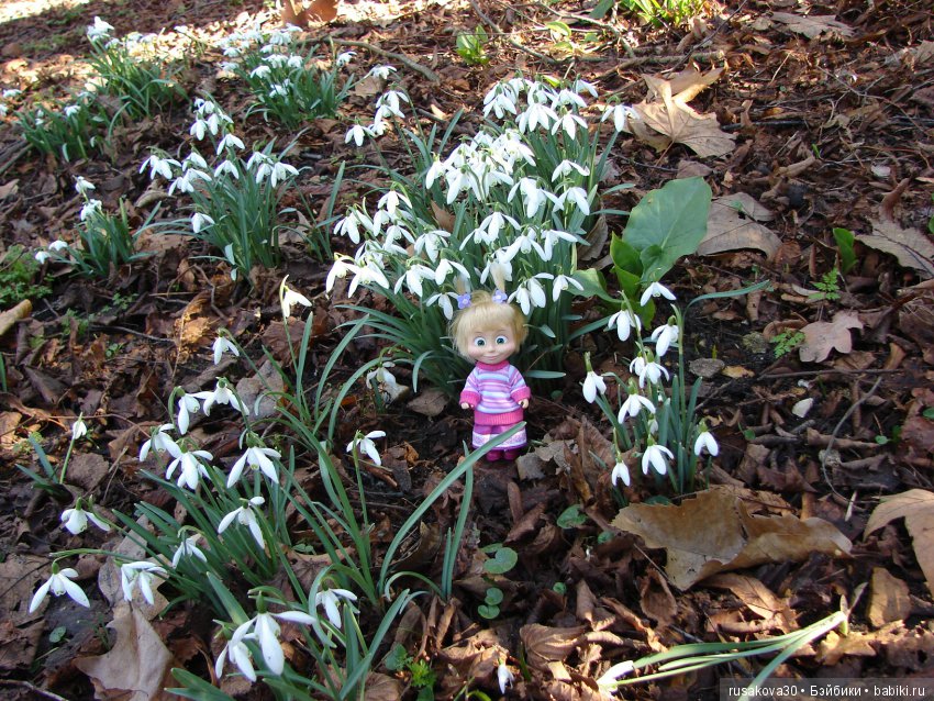 Как Машки день Святого Валентина отмечали (фото 10)