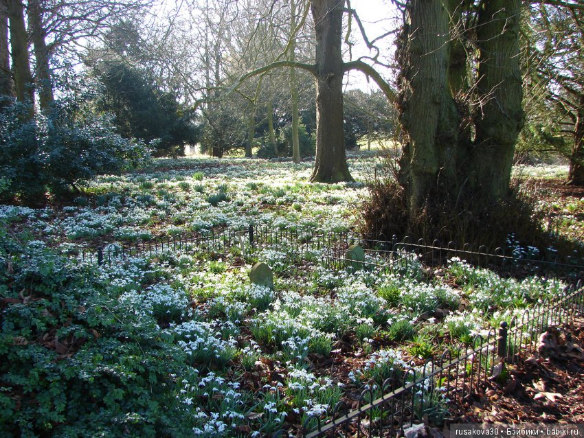 Как Машки день Святого Валентина отмечали
