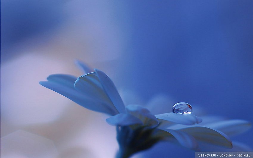 Цвет настроения синий | Бэйбики Цвет настроения синий — Болталка и разговоры обо всем: жизнь