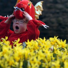 День Святого Дэвида в Уэльсе