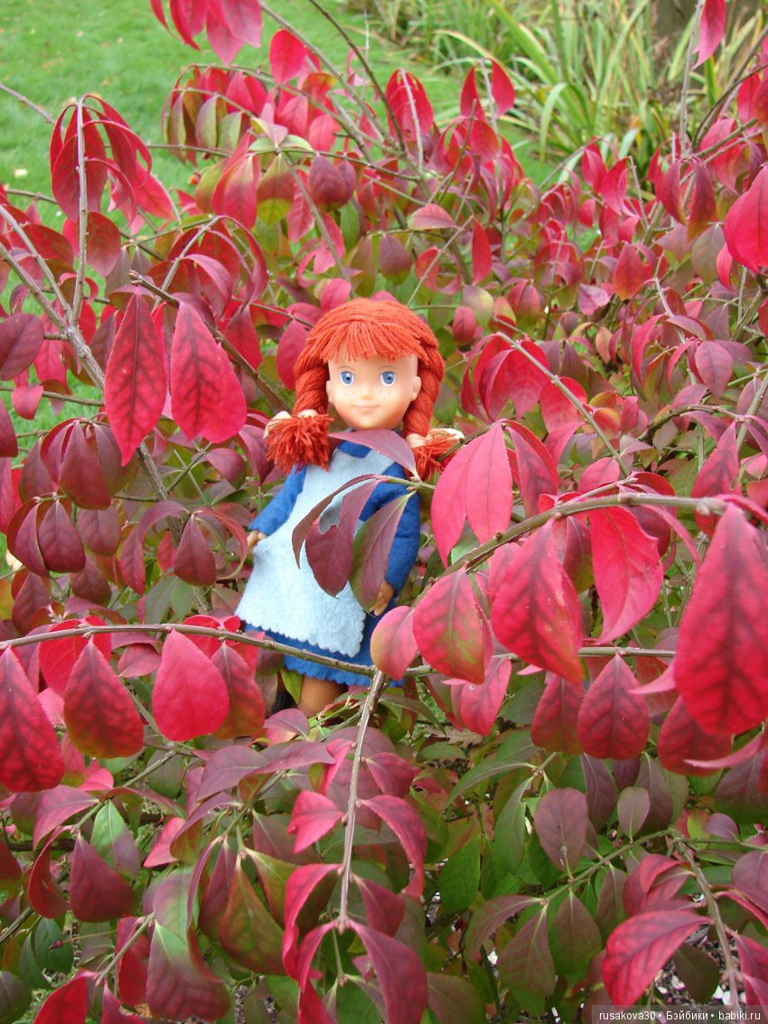 Энн из зеленых Мезонинов — Куклы Helen Kish (Хелен Киш): Riley (Райли)