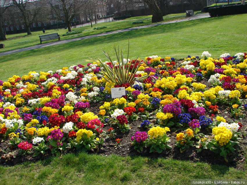 Энн из зеленых Мезонинов — Куклы Helen Kish (Хелен Киш): Riley (Райли)