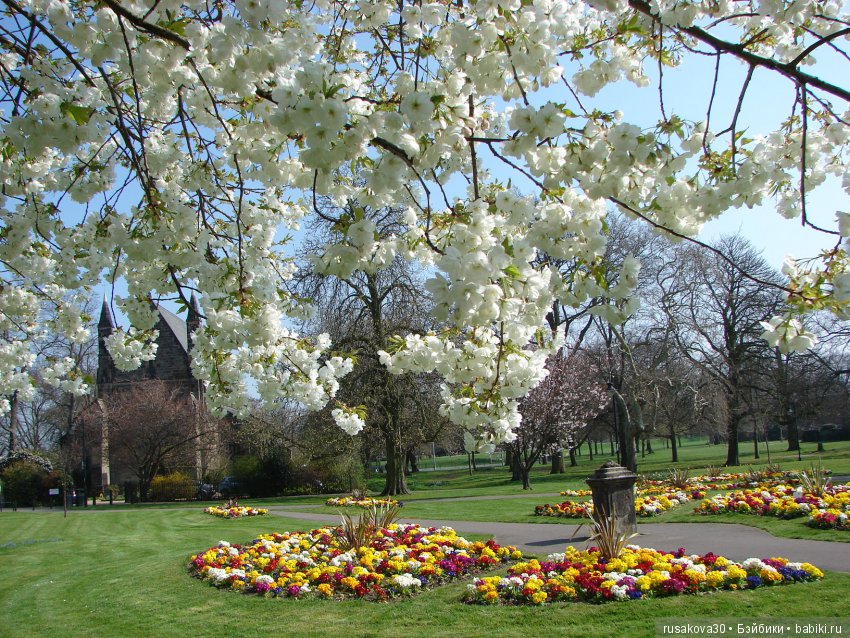 Энн из зеленых Мезонинов — Куклы Helen Kish (Хелен Киш): Riley (Райли)