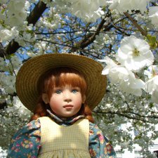 Энн из зеленых Мезонинов