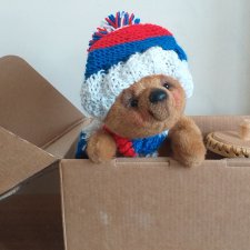 Мишутка по имени Борис