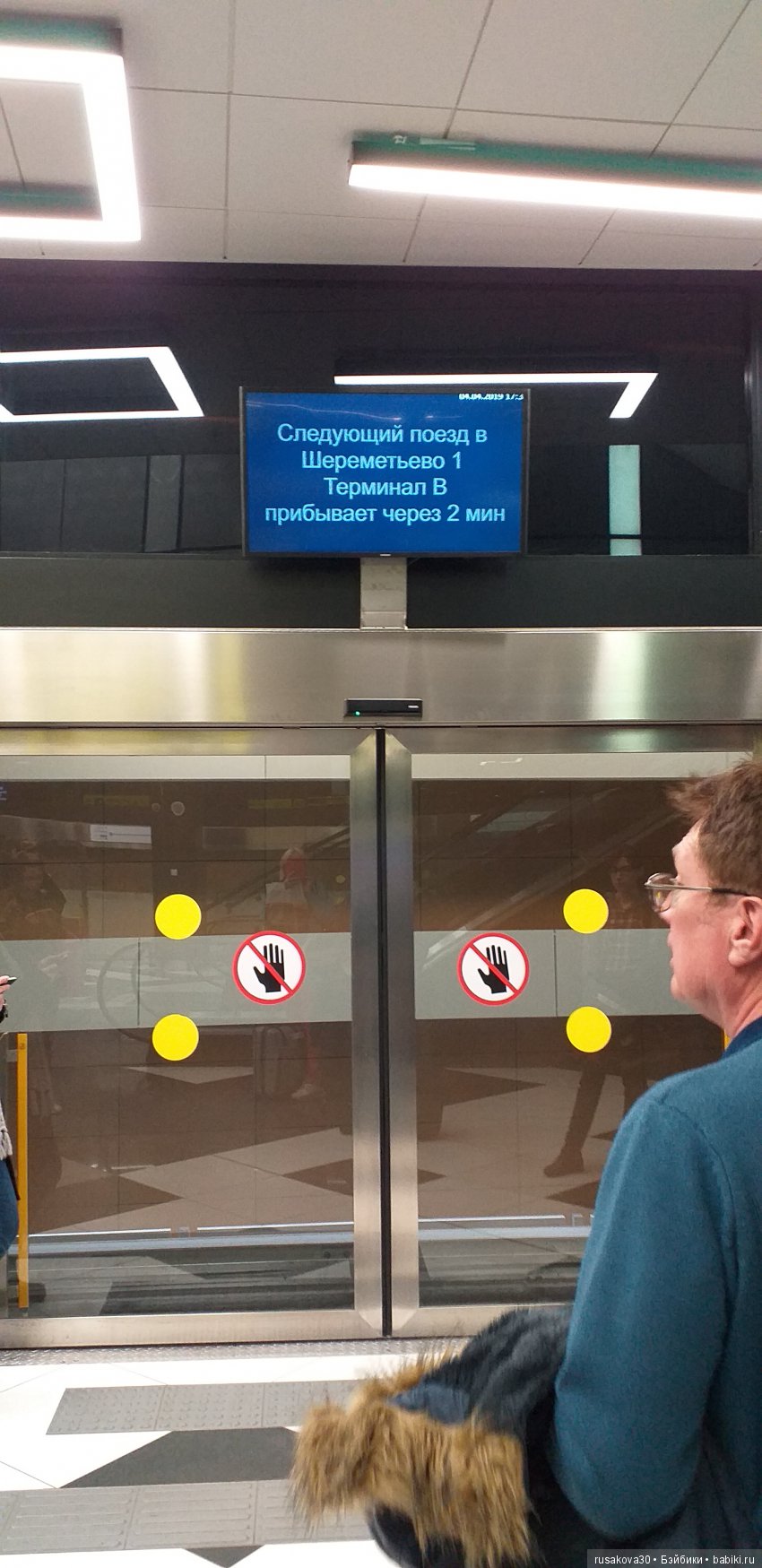 Людвиг, Жирафик и Ватсон отправляются в путешествие