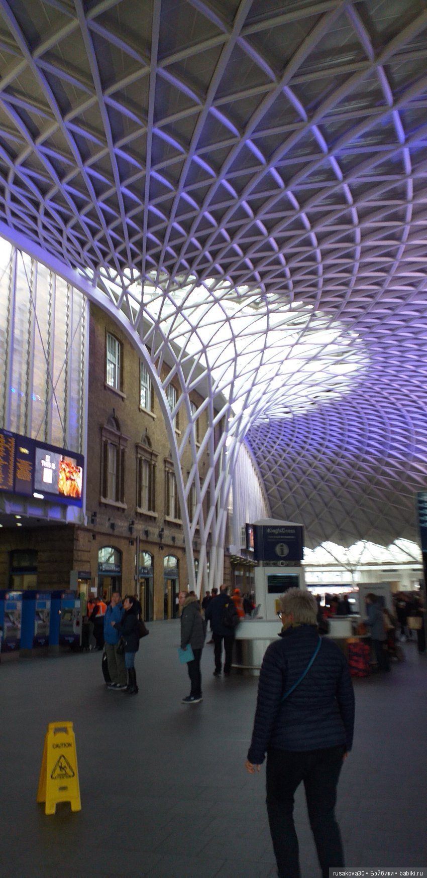 Людвиг, Жирафик и Ватсон отправляются в путешествие (фото 5)