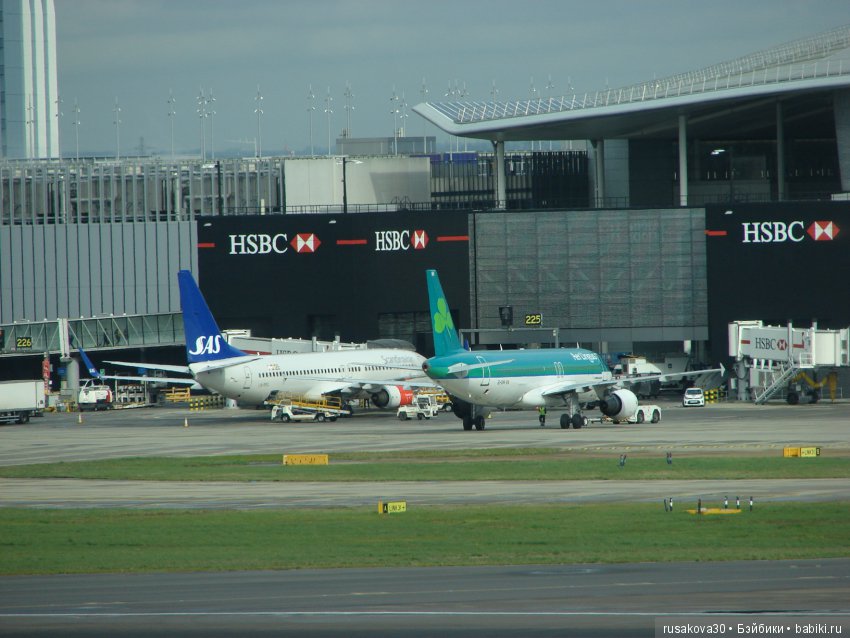 Людвиг, Жирафик и Ватсон отправляются в путешествие