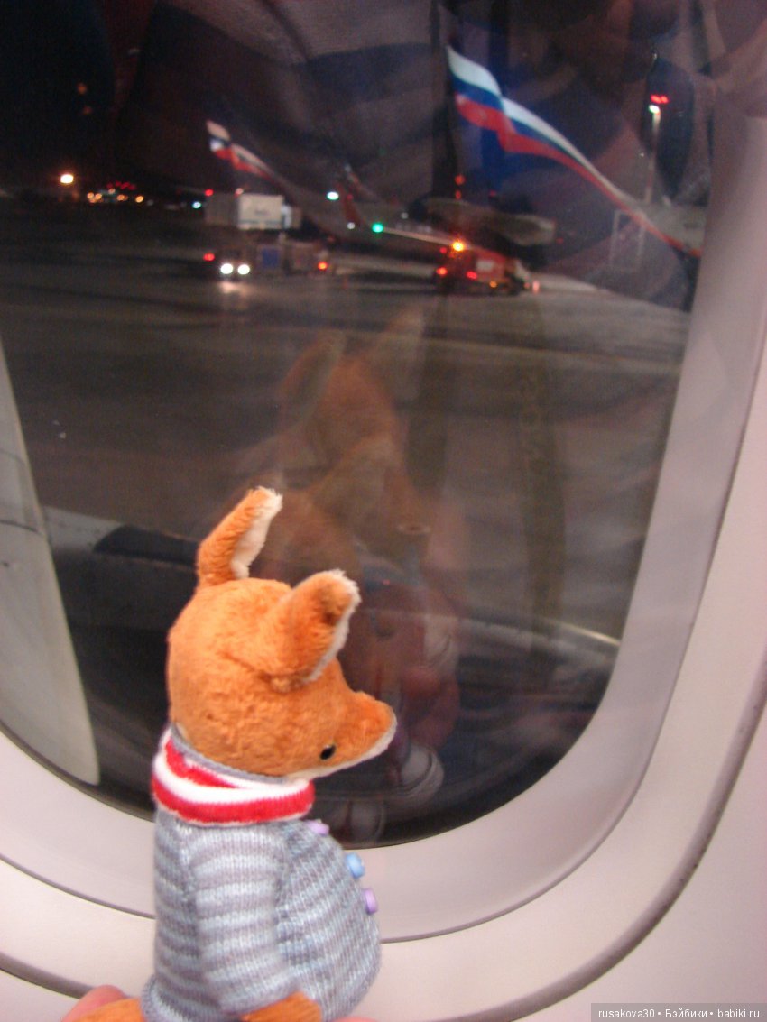 Людвиг, Жирафик и Ватсон отправляются в путешествие