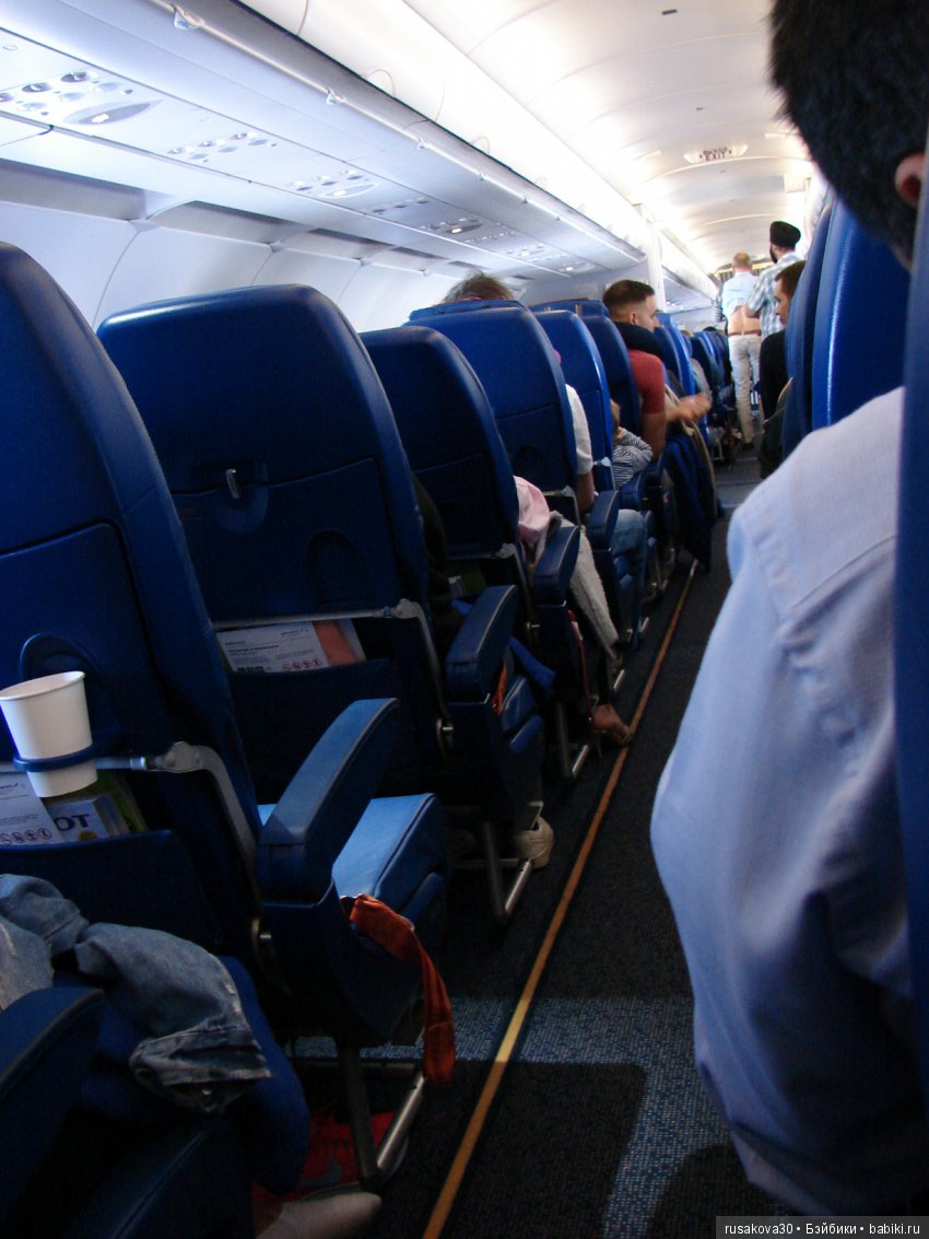 Людвиг, Жирафик и Ватсон отправляются в путешествие