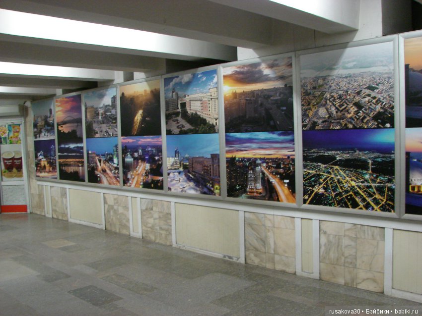 Людвиг,Жирафик и Ватсон отправляются в путешествие, продолжение (фото 10)