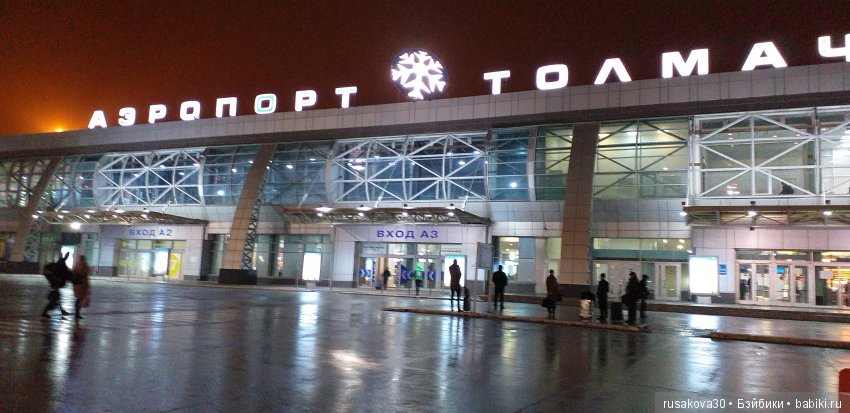 Людвиг, Жирафик и Ватсон отправляются в путешествие