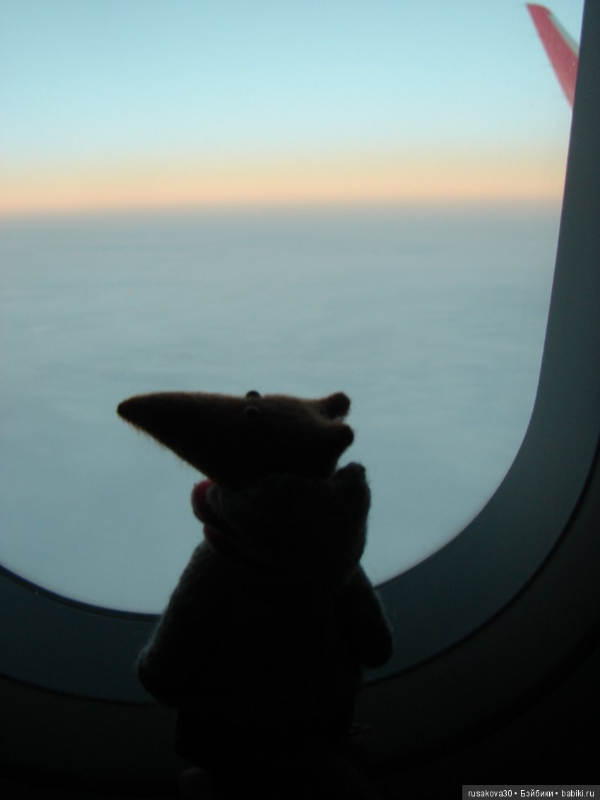 Людвиг, Жирафик и Ватсон отправляются в путешествие