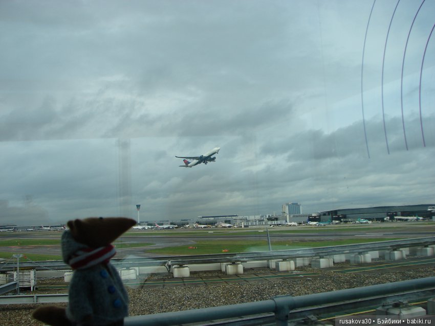 Людвиг, Жирафик и Ватсон отправляются в путешествие