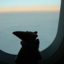 Людвиг, Жирафик и Ватсон отправляются в путешествие