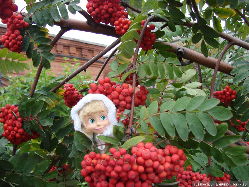 Плюс еще одна Машка-первоклашка