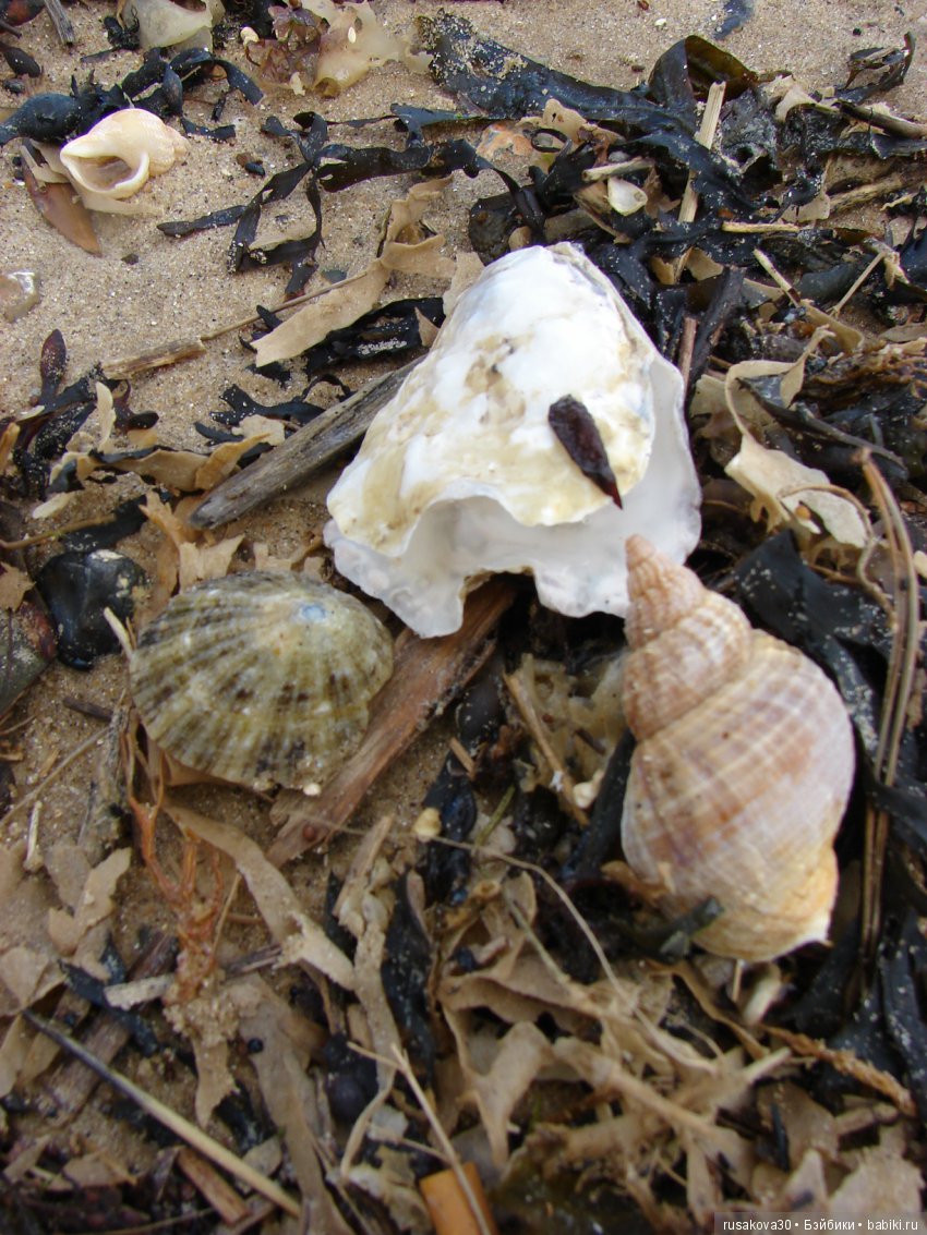 Плюс еще одна Машка-первоклашка