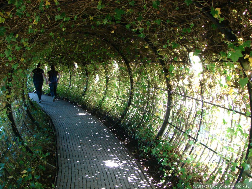 Сады замка Алник Alnwick Castle