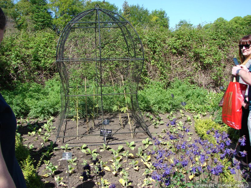 Сады замка Алник Alnwick Castle