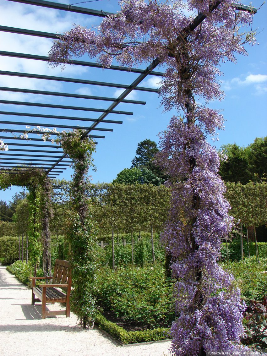 Сады замка Алник Alnwick Castle