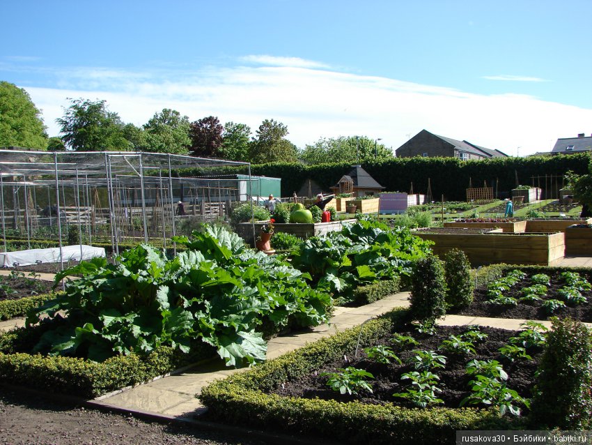 Сады замка Алник Alnwick Castle