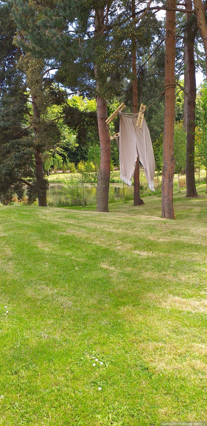 Сады замка Алник Alnwick Castle (фото 7)