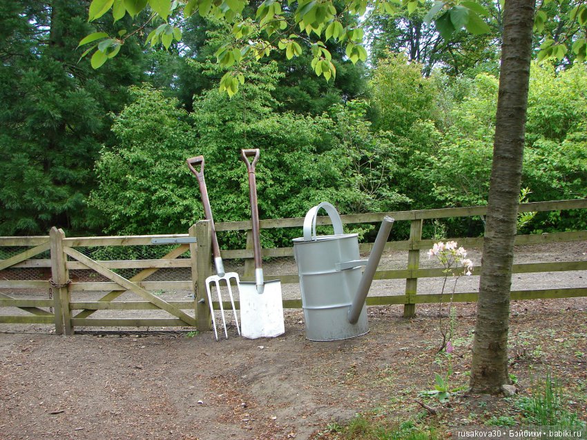 Сады замка Алник Alnwick Castle (фото 10)