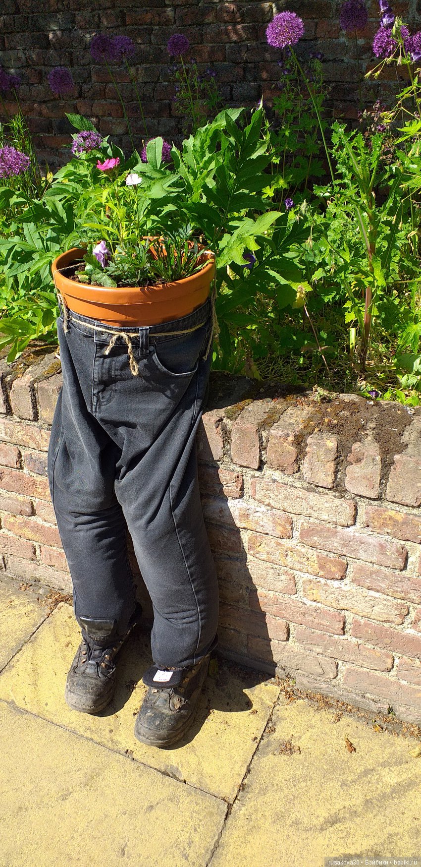 Сады замка Алник Alnwick Castle