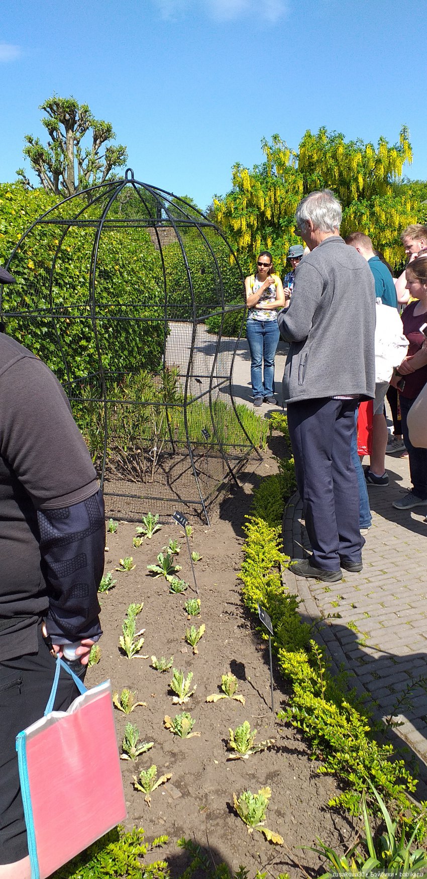 Сады замка Алник Alnwick Castle