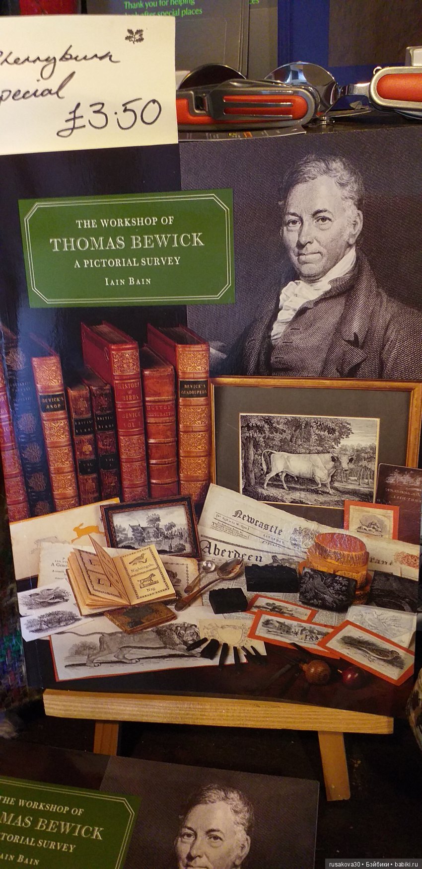 Музей Томаса Бьюика, Thomas Bewick