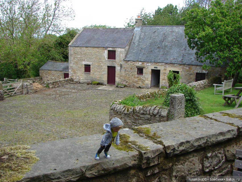 Музей Томаса Бьюика, Thomas Bewick (фото 7)