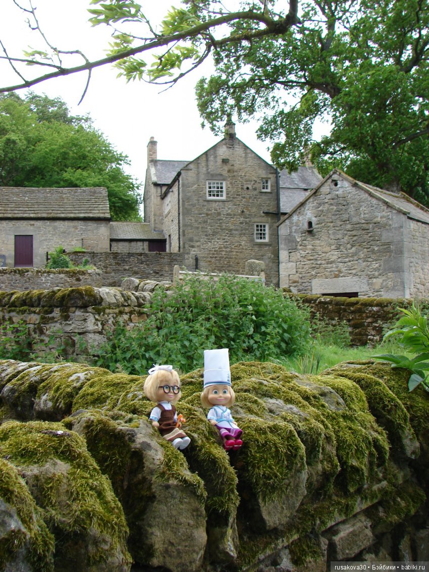 Музей Томаса Бьюика, Thomas Bewick