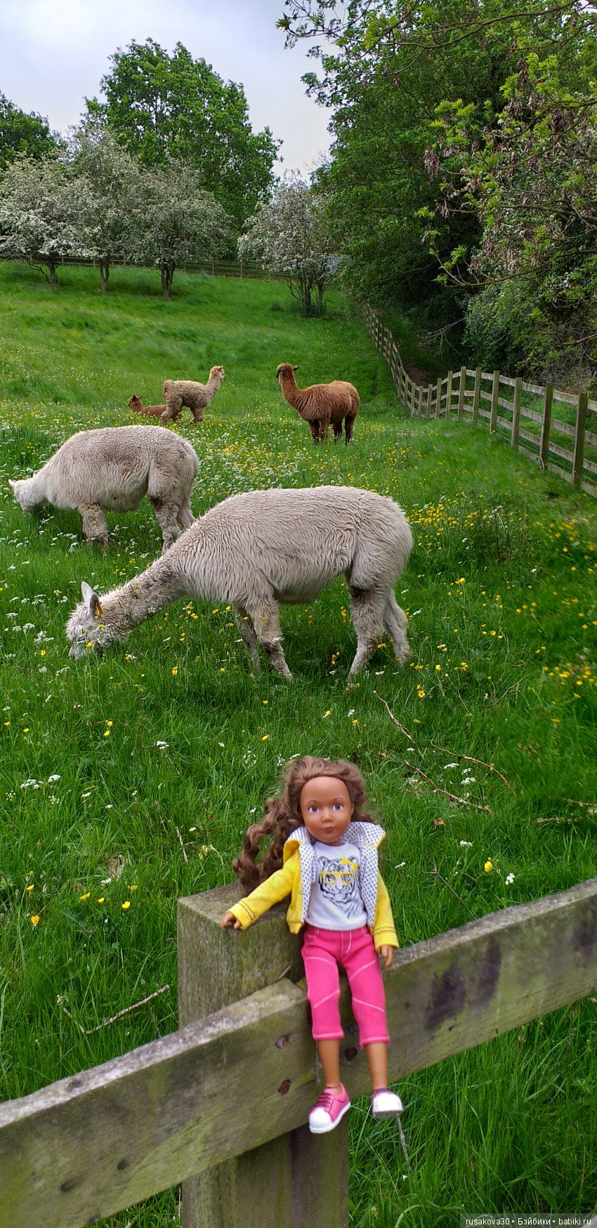 Музей Томаса Бьюика, Thomas Bewick