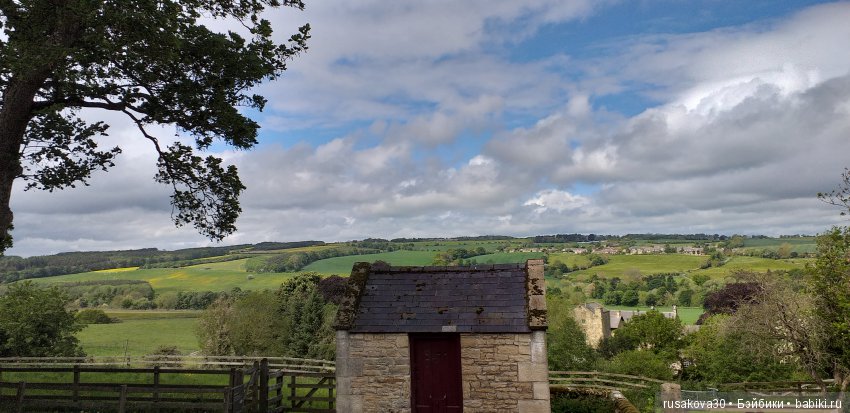 Музей Томаса Бьюика, Thomas Bewick