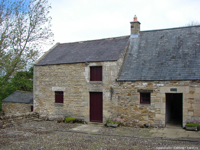 Музей Томаса Бьюика, Thomas Bewick (фото 4)