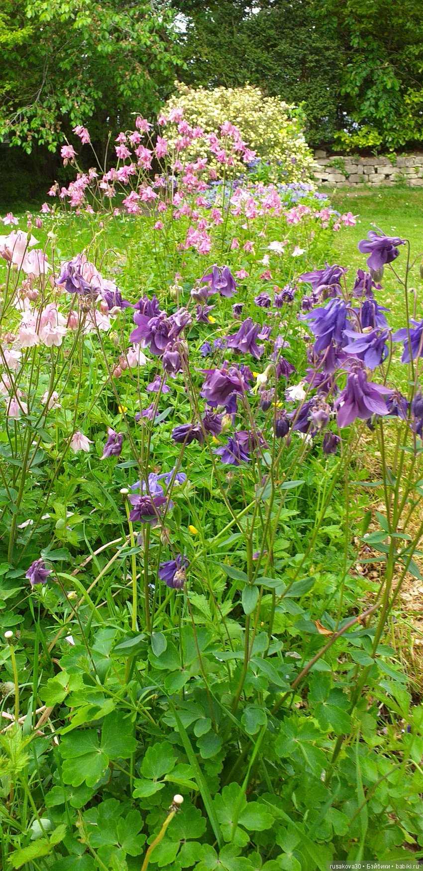 Музей Томаса Бьюика, Thomas Bewick