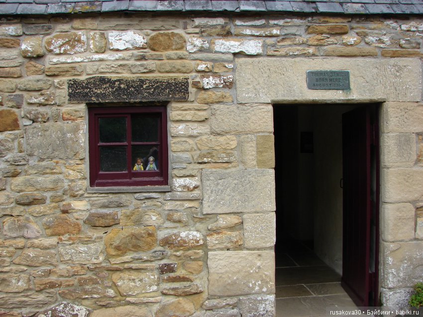 Музей Томаса Бьюика, Thomas Bewick