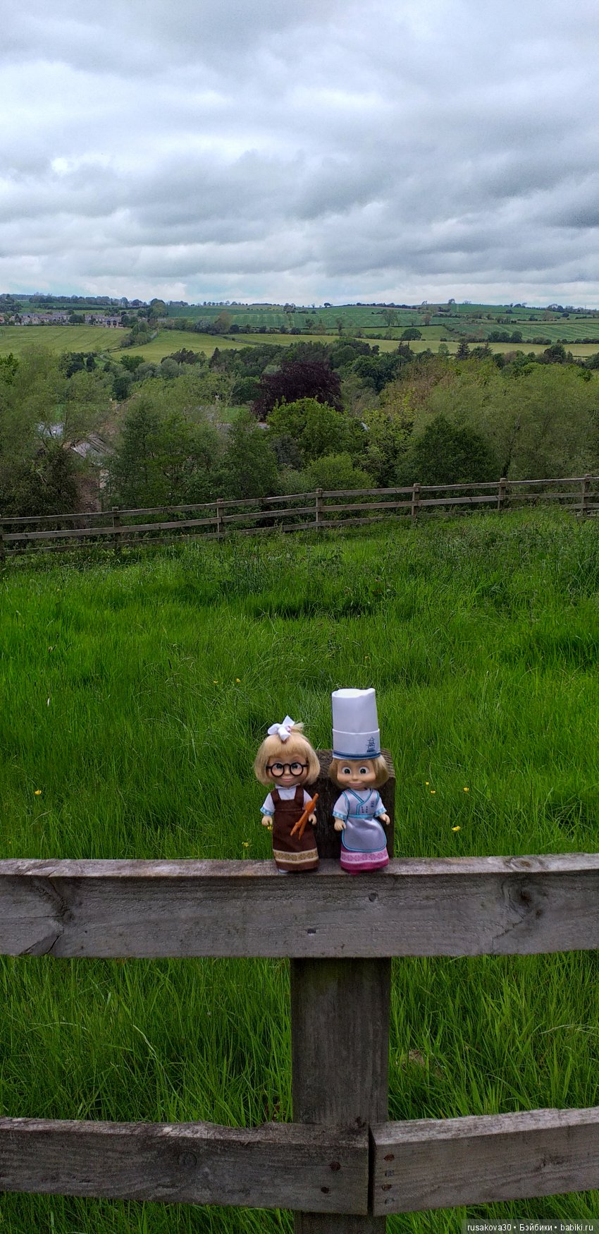 Музей Томаса Бьюика, Thomas Bewick