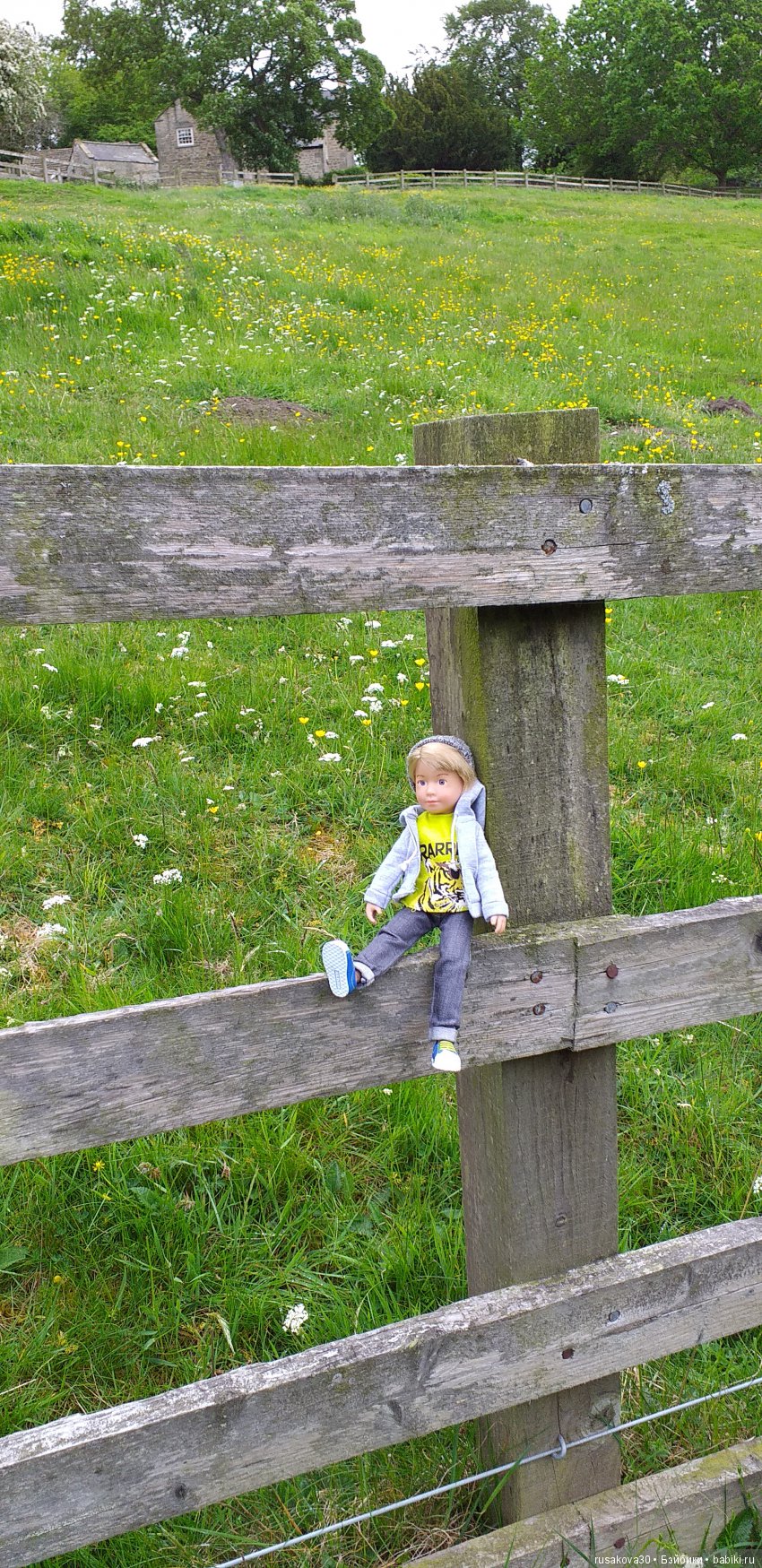 Музей Томаса Бьюика, Thomas Bewick