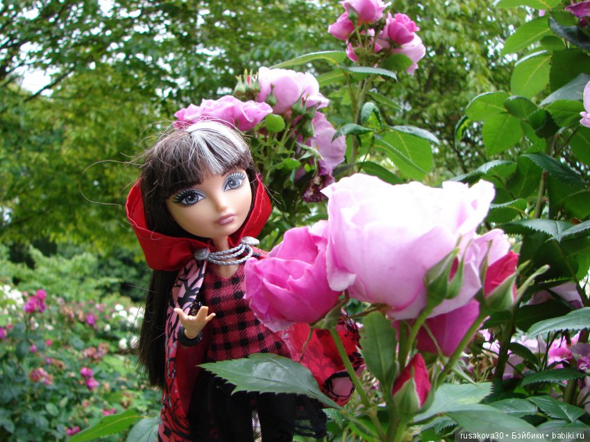 Мы выбираем, нас выбирают, как это часто не совпадает