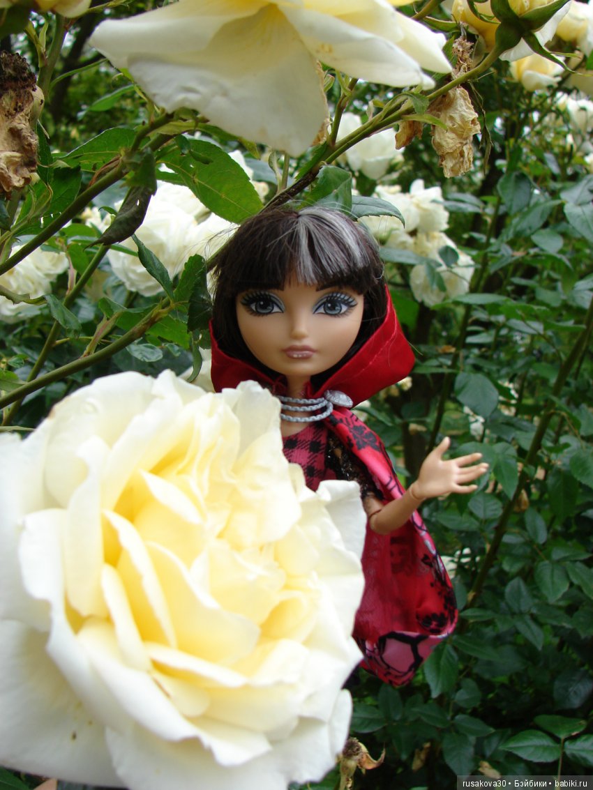 Мы выбираем, нас выбирают, как это часто не совпадает (фото 3)