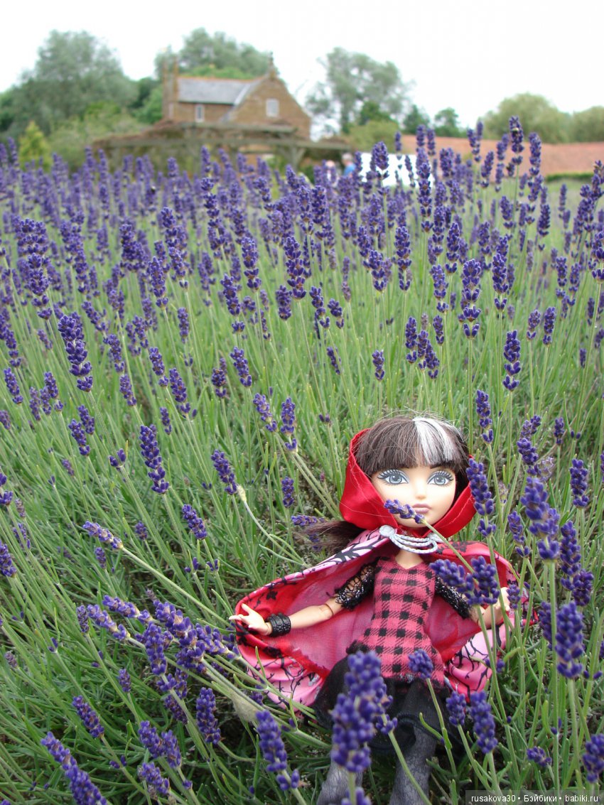 Мы выбираем, нас выбирают, как это часто не совпадает (фото 2)