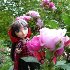 Мы выбираем, нас выбирают,  как это часто не совпадает...