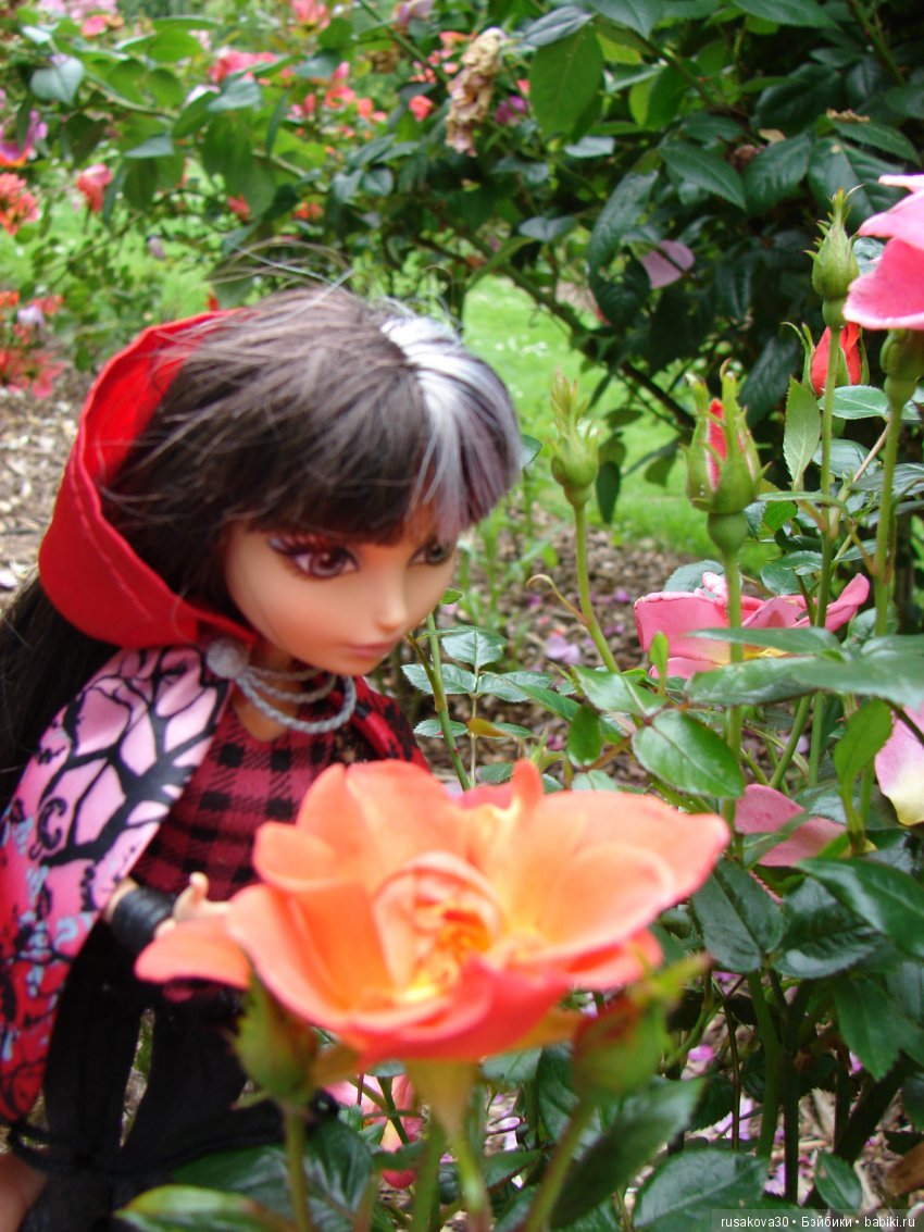 Мы выбираем, нас выбирают, как это часто не совпадает