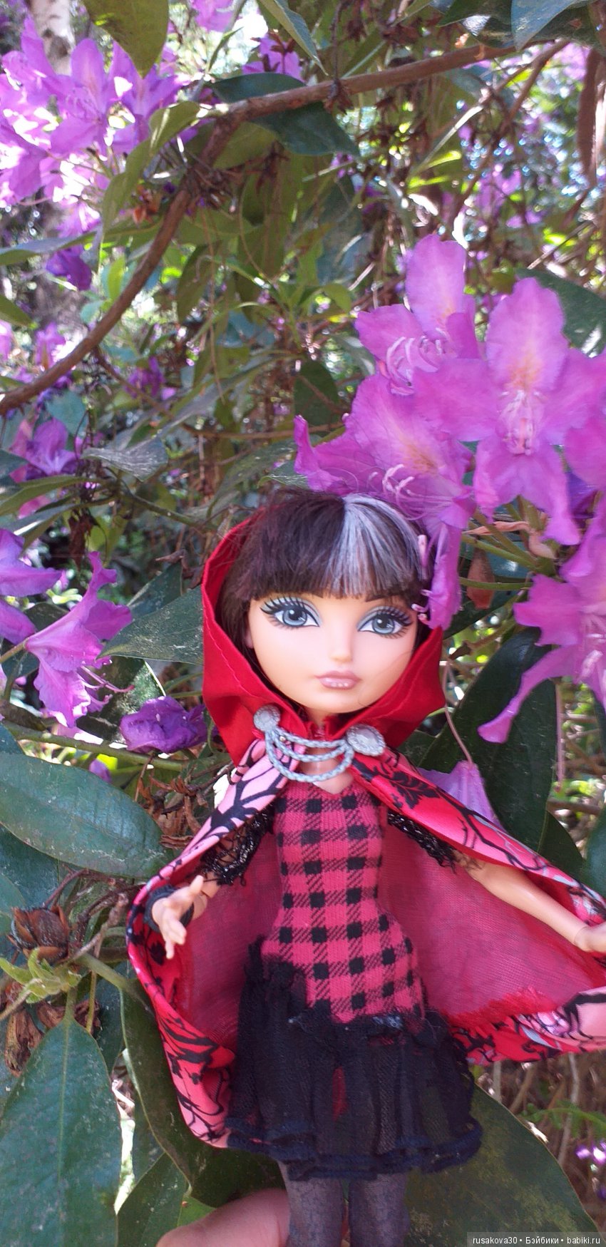 Мы выбираем, нас выбирают, как это часто не совпадает (фото 10)