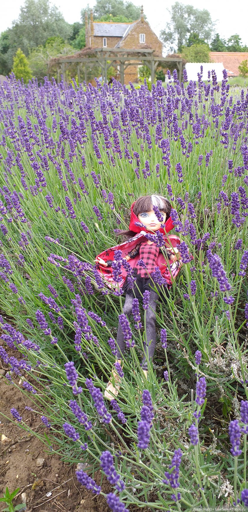 Мы выбираем, нас выбирают, как это часто не совпадает