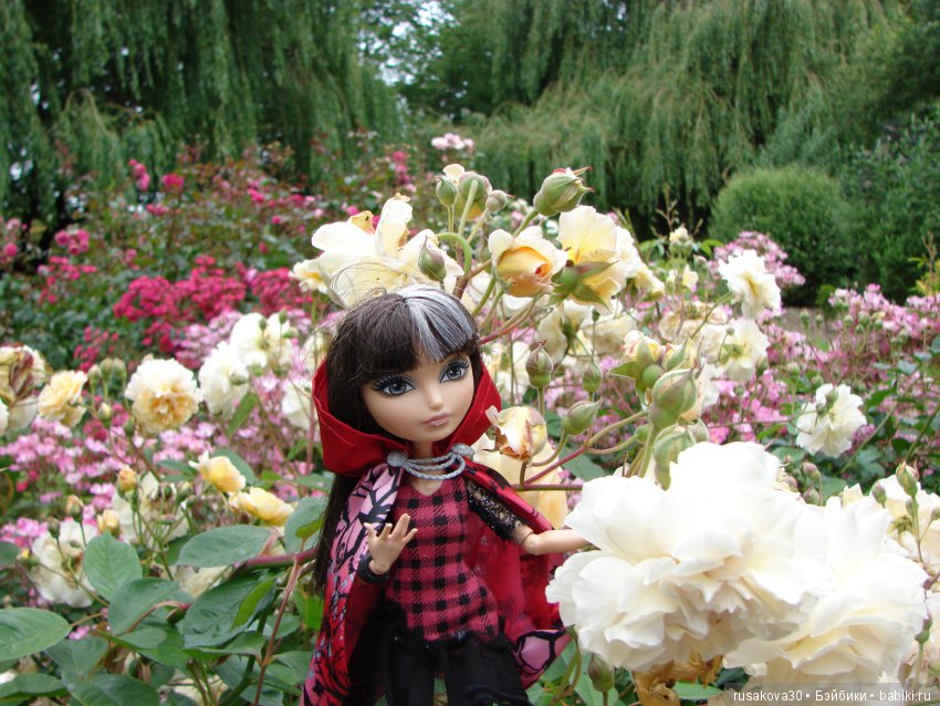 Мы выбираем, нас выбирают, как это часто не совпадает