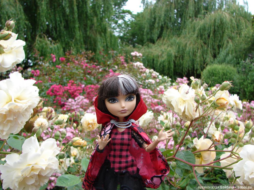 Мы выбираем, нас выбирают, как это часто не совпадает