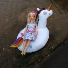 Агата на море, Мисс Бэйбики 2019