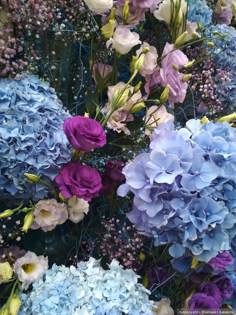 Лето,цветочные фестивали — Туризм и путешествия: фотоотчеты из поездок (фото 2)